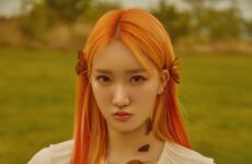 sua-profile